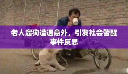 环肥燕瘦