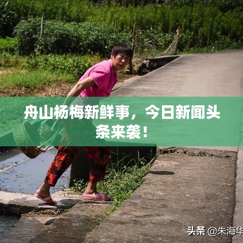 刺股读书