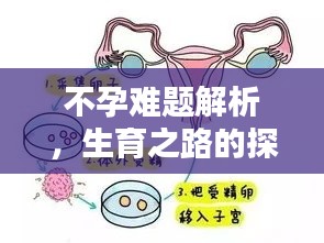 2025年6月17日