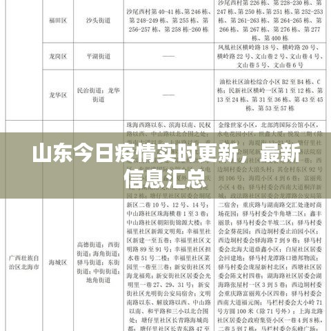 山东今日疫情实时更新，最新信息汇总