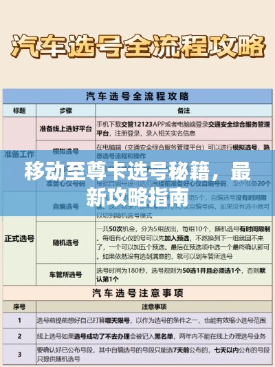 移动至尊卡选号秘籍，最新攻略指南