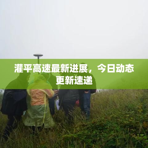 灌平高速最新进展，今日动态更新速递