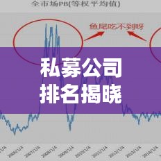 私募公司排名揭晓，中国私募基金行业领军力量榜单出炉（2015）