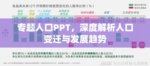 专题人口PPT，深度解析人口变迁与发展趋势