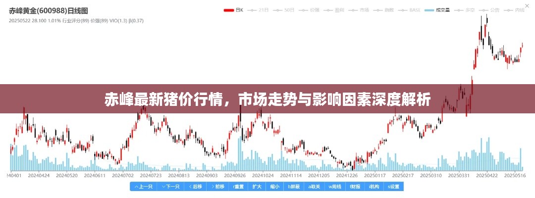 赤峰最新猪价行情，市场走势与影响因素深度解析