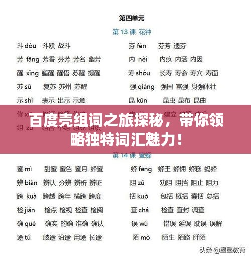 百度壳组词之旅探秘，带你领略独特词汇魅力！