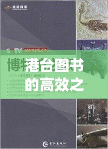 港台图书的高效之路探索