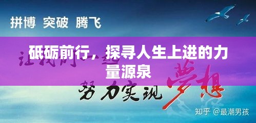 砥砺前行，探寻人生上进的力量源泉