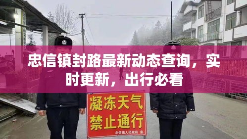 忠信镇封路最新动态查询，实时更新，出行必看