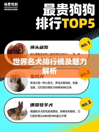 世界名犬排行榜及魅力解析