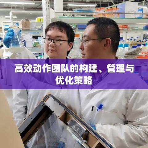 高效动作团队的构建、管理与优化策略