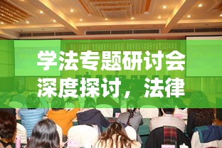 学法专题研讨会深度探讨，法律学习的方法与实践
