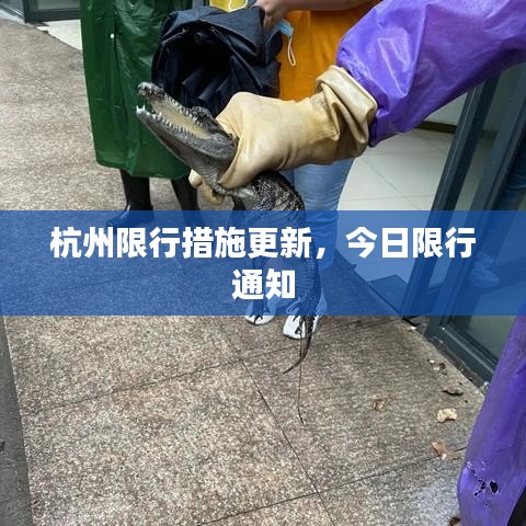 杭州限行措施更新，今日限行通知
