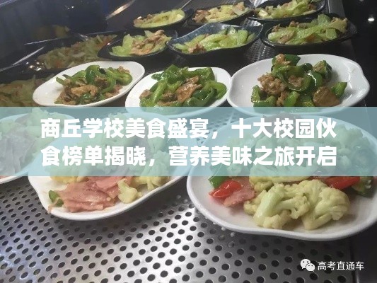 商丘学校美食盛宴，十大校园伙食榜单揭晓，营养美味之旅开启！
