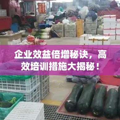 企业效益倍增秘诀，高效培训措施大揭秘！