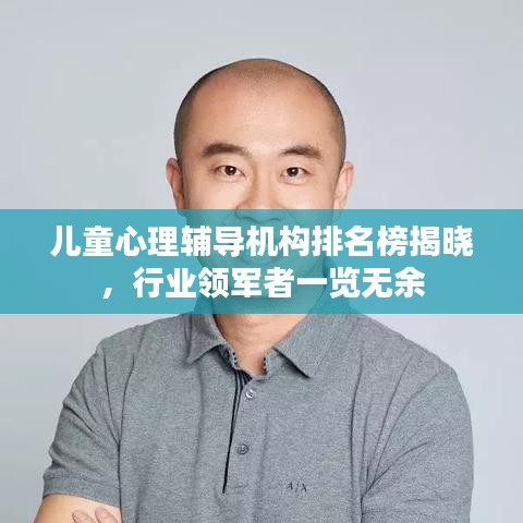 儿童心理辅导机构排名榜揭晓，行业领军者一览无余
