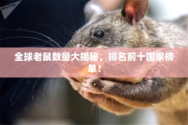 全球老鼠数量大揭秘，排名前十国家榜单！