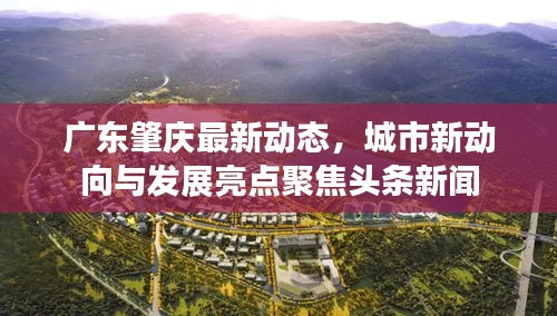 广东肇庆最新动态，城市新动向与发展亮点聚焦头条新闻